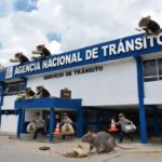 enfokate en las noticias | ant en crisis