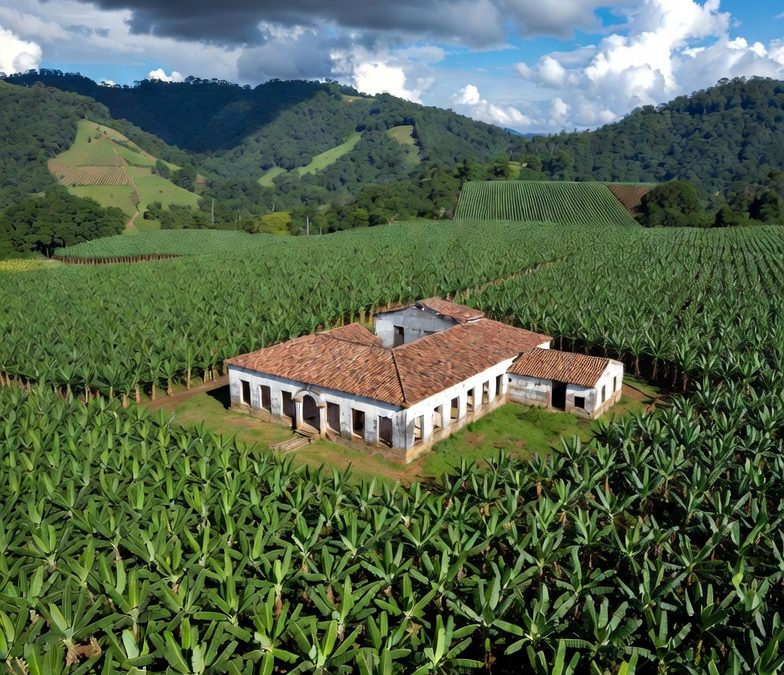 enfokate en las noticias | la clementina de banano a polvora