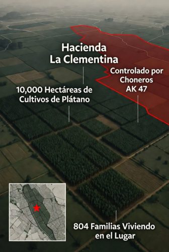 enfokate en las noticias | la clementina de banano a polvora